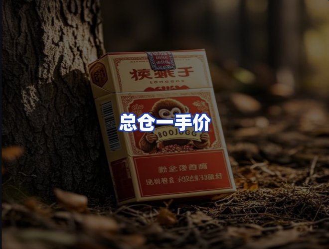 专业团队